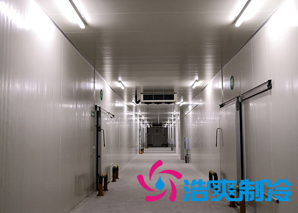 粽叶深夜免费网站保存方法及温度范围_箬叶冷藏库建造标准-深夜在线视频制冷