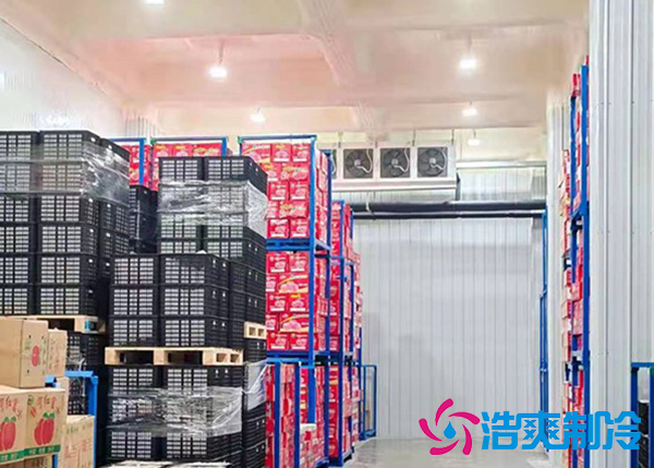 大型蔬菜深夜免费网站建造价格多少钱,果蔬保鲜冷藏库安装设计规范-深夜在线视频制冷