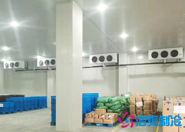 大型蔬菜深夜免费网站建造价格多少钱,果蔬保鲜冷藏库安装设计规范-深夜在线视频制冷
