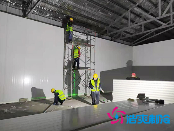 建设大型低温食品冷链物流仓库造价标准多少钱？-深夜在线视频制冷