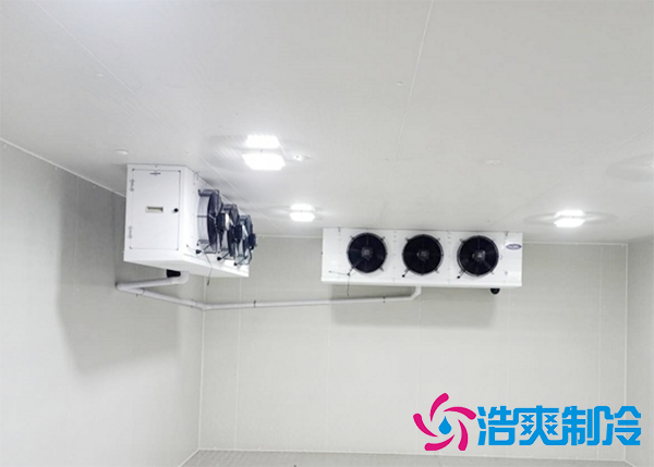 水果批发市场建造水果保鲜深夜免费网站报价大概需要多少钱？-深夜在线视频制冷