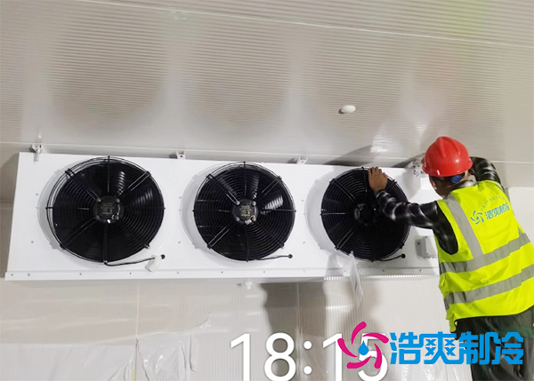 水果批发市场建造水果保鲜深夜免费网站报价大概需要多少钱？-深夜在线视频制冷