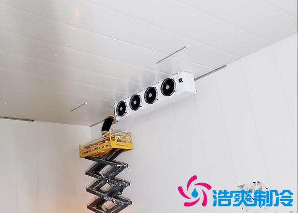 建一个速冻深夜免费网站设备报价大概需要多少钱？-深夜在线视频制冷