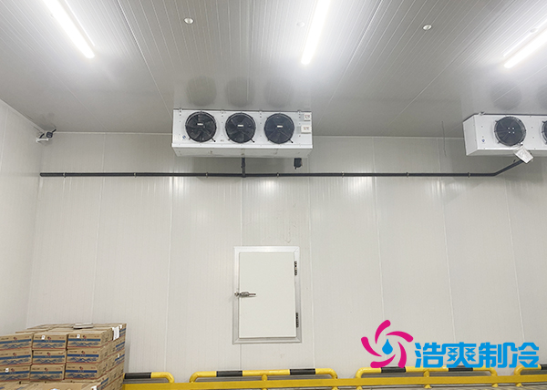 建一个水果催熟库安装价格大概多少钱？-深夜在线视频制冷