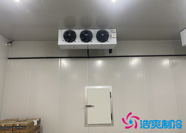 建一个水果催熟库安装价格大概多少钱？-深夜在线视频制冷
