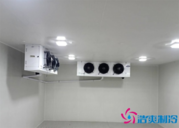 蔬菜种植基地建造600立方米保鲜深夜免费网站大概需要多少钱？-深夜在线视频制冷