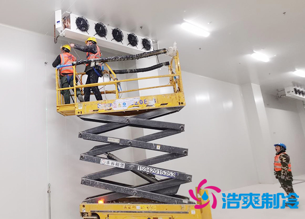 蔬菜种植基地建造600立方米保鲜深夜免费网站大概需要多少钱？-深夜在线视频制冷