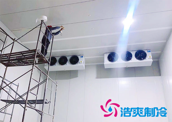 果蔬原产地建造500吨气调深夜免费网站造价成本多少钱？-深夜在线视频制冷