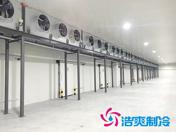 速冻深夜免费网站安装造价费用及建造标准-深夜在线视频制冷