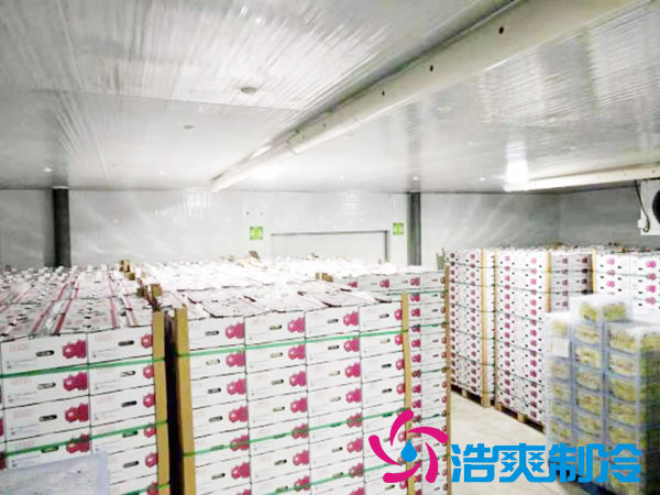 建造一个火龙果深夜免费网站要花多少钱？-深夜在线视频制冷