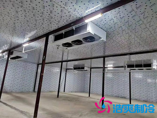 建造一个火龙果深夜免费网站要花多少钱？-深夜在线视频制冷