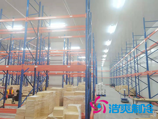 如何选择专业的生鲜冷冻物流深夜免费网站公司？-深夜在线视频制冷