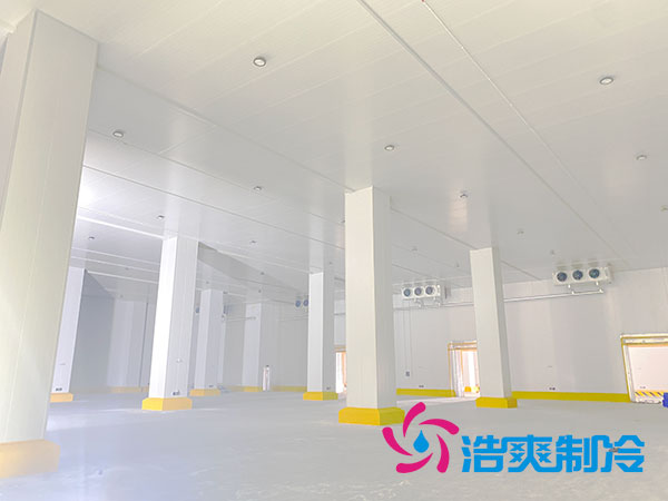 1000立方深夜免费网站的建设费用大概需要多少钱？-深夜在线视频制冷