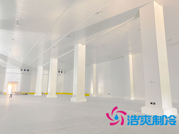 大型农产品蔬菜保鲜深夜免费网站设计方案-深夜在线视频制冷