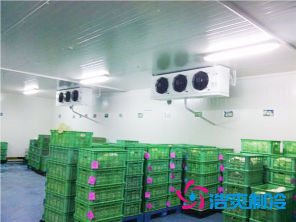 茶叶深夜免费网站设置多少温度合适？-深夜在线视频制冷