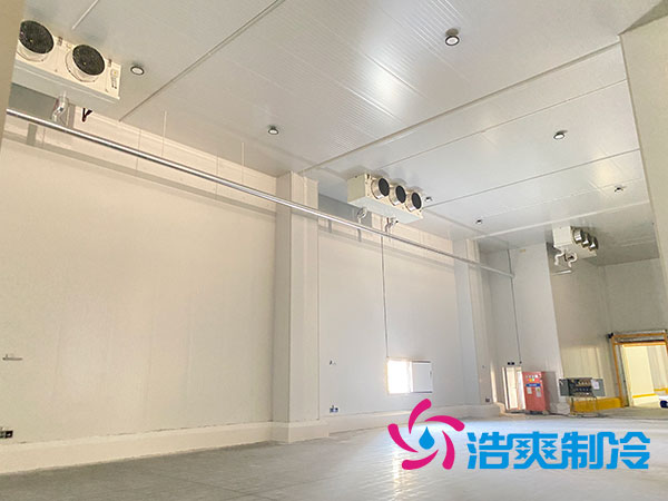 宁波农产品保鲜库建造设备价格多少钱？-深夜在线视频制冷