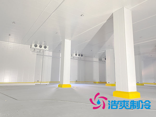 上海低温冷冻库建造厂家-深夜在线视频制冷