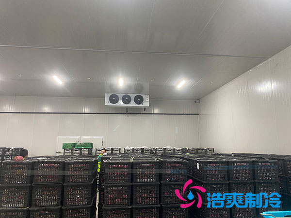 嘉定鸡蛋深夜免费网站安装建造多少钱？-深夜在线视频制冷