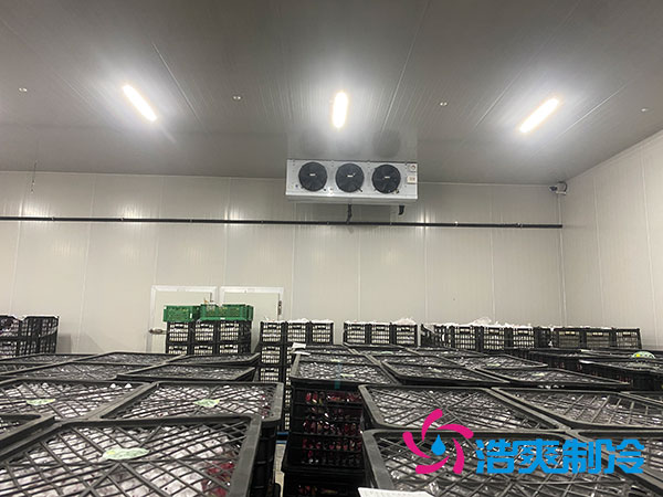 嘉定鸡蛋深夜免费网站安装建造多少钱？-深夜在线视频制冷