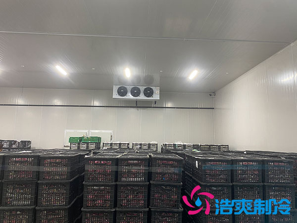 中型深夜免费网站安装造价多少钱？中型深夜免费网站造价表-深夜在线视频制冷
