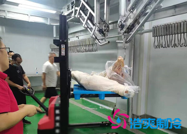 咸阳屠宰场陕西深夜免费网站建造价格多少钱？-深夜在线视频制冷