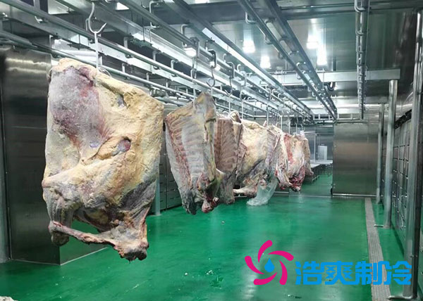 咸阳屠宰场陕西深夜免费网站建造价格多少钱？-深夜在线视频制冷