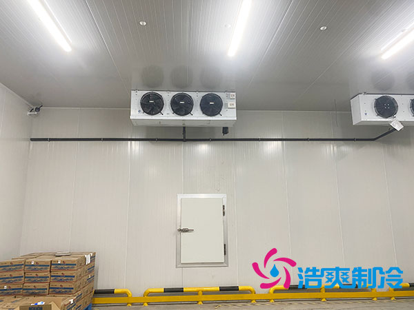 江苏农产品保鲜库建造大概多少钱？-深夜在线视频制冷