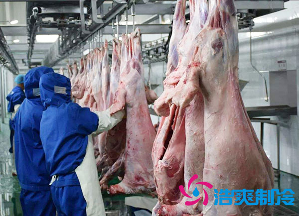 排酸深夜免费网站安装价钱多少钱？-深夜在线视频制冷