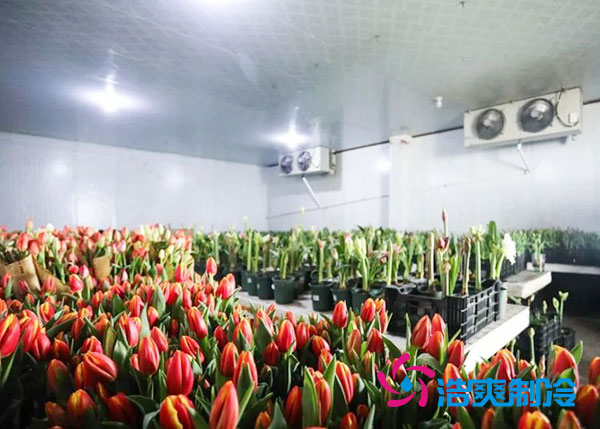 花卉深夜免费网站安装预算造价多少钱？-深夜在线视频制冷