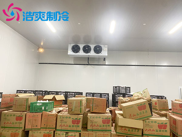 广东1000平方米水果保鲜深夜免费网站建造价格及配置清单