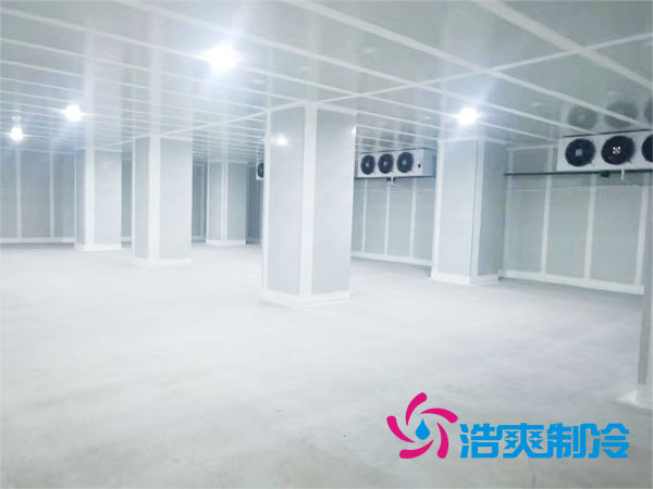 宁夏气调深夜免费网站建造什么价格？-深夜在线视频制冷