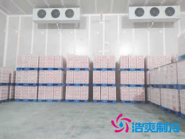 气调保鲜深夜免费网站