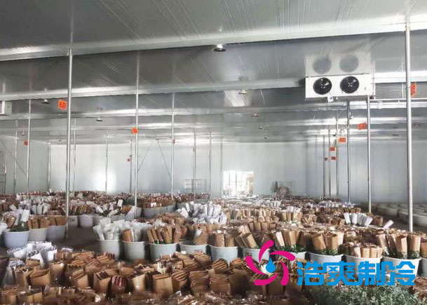 鲜花深夜免费网站安装报价明细表清单,不同规格鲜花深夜免费网站造价表-深夜在线视频制冷