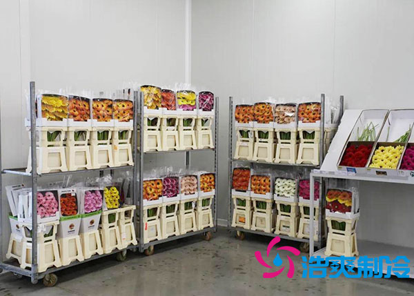 鲜花深夜免费网站多少钱一平方？-深夜在线视频制冷