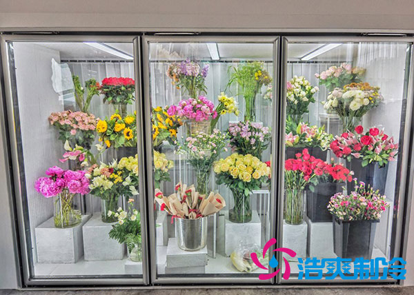 花店深夜免费网站适合风冷还是直冷？-深夜在线视频制冷