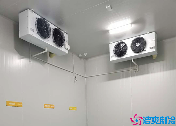 葡萄气调保鲜深夜免费网站