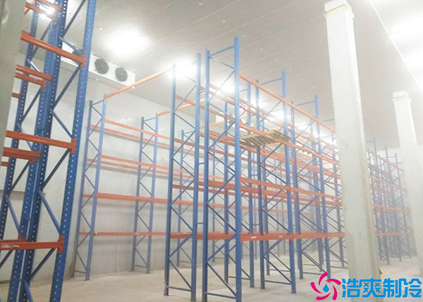 微型果蔬深夜免费网站建设要考虑什么因素？.jpg