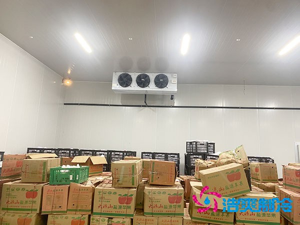 果蔬保鲜深夜免费网站造价多少钱，水果深夜免费网站建造价格表