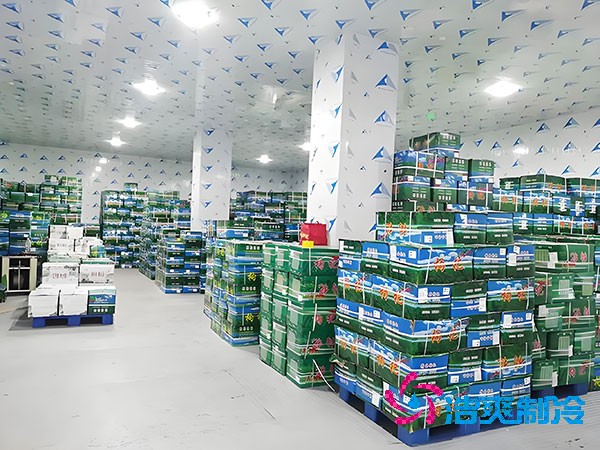 果蔬保鲜深夜免费网站造价多少钱，水果深夜免费网站建造价格表