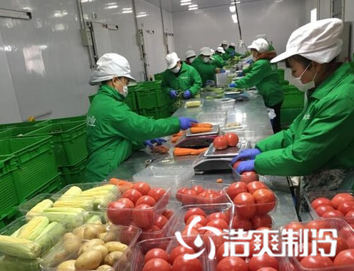生鲜深夜免费网站建造_深夜在线视频制冷