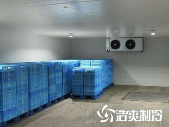 餐饮深夜免费网站建造_深夜在线视频制冷