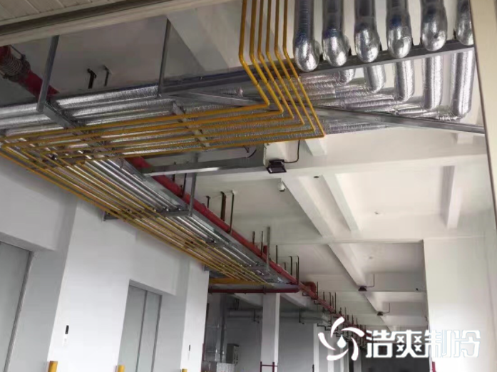 氟利昂系统_深夜在线视频制冷