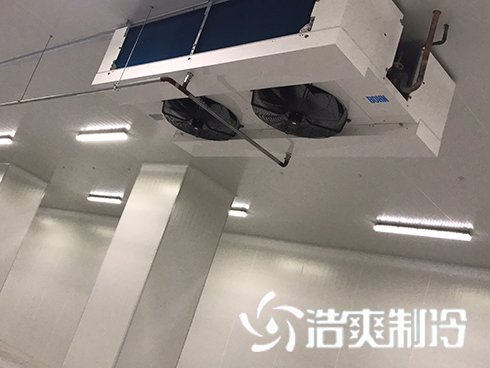 河北周黑鸭新工厂项目1#车间深夜免费网站建造