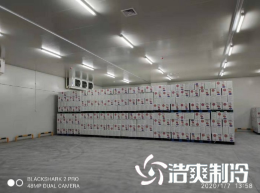 安徽洽洽49500m³食品加工深夜免费网站建造