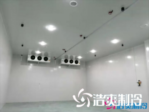 上海巴洛美巧克力食品深夜免费网站建造设计