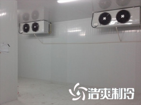 浙江绍兴养乐多乳制品深夜免费网站建造安装