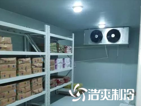 牛肉食品深夜免费网站建造