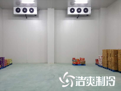 海鲜深夜免费网站建造价格