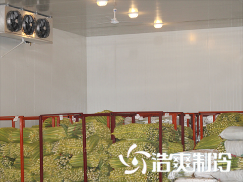 果蔬深夜免费网站建造价格