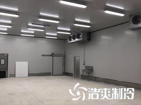 深夜免费网站建造费用